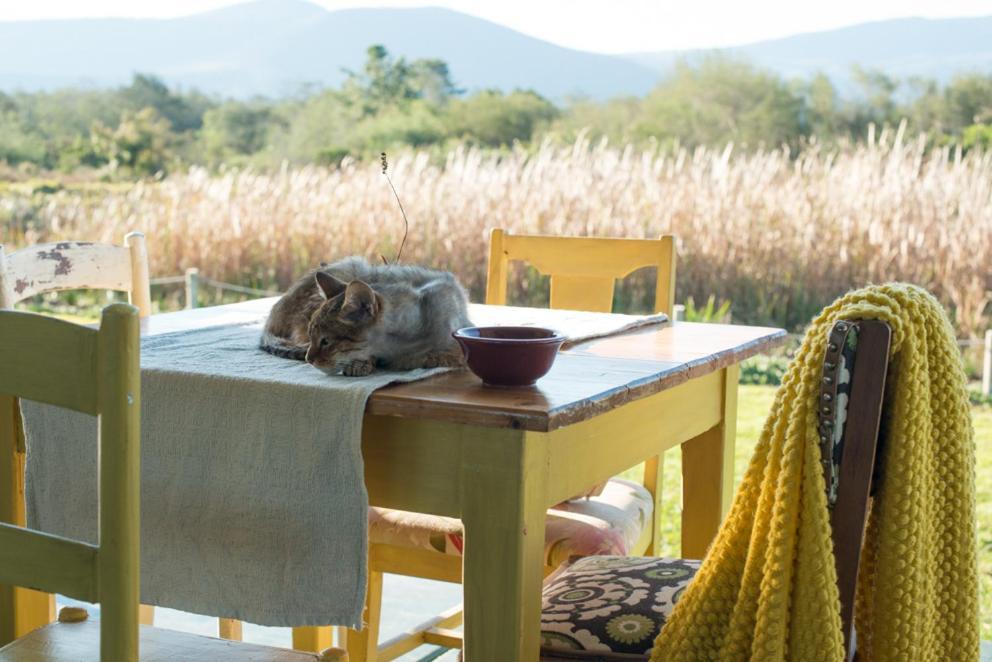 The Crags Eco Lodge Villa Villekula المظهر الخارجي الصورة